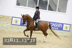 23R13_13732 thumbnail
