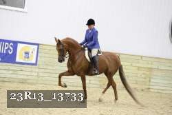 23R13_13733 thumbnail