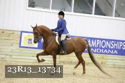 23R13_13734 thumbnail