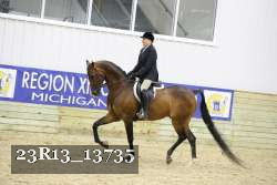 23R13_13735 thumbnail