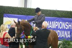 23R13_13736 thumbnail