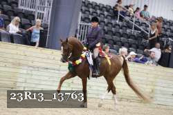 23R13_13763 thumbnail
