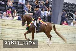 23R13_13764 thumbnail