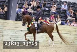 23R13_13765 thumbnail