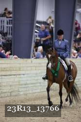 23R13_13766 thumbnail