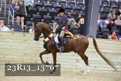 23R13_13767 thumbnail