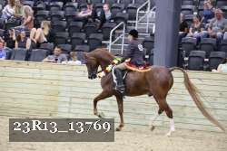 23R13_13769 thumbnail