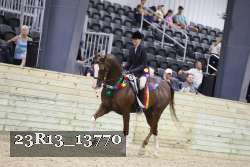 23R13_13770 thumbnail