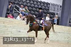23R13_13771 thumbnail