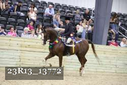 23R13_13772 thumbnail
