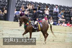 23R13_13773 thumbnail