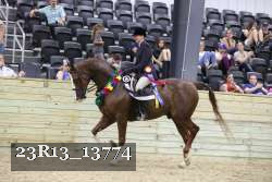 23R13_13774 thumbnail