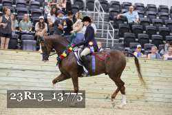 23R13_13775 thumbnail