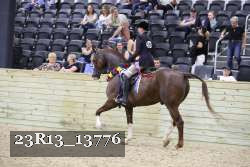 23R13_13776 thumbnail
