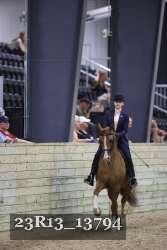 23R13_13794 thumbnail