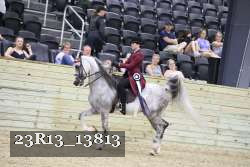 23R13_13813 thumbnail
