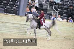 23R13_13814 thumbnail