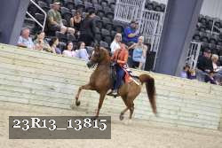 23R13_13815 thumbnail