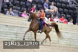 23R13_13816 thumbnail