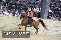 23R13_13817 thumbnail
