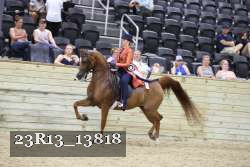 23R13_13818 thumbnail