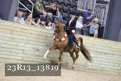 23R13_13819 thumbnail