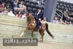 23R13_13820 thumbnail