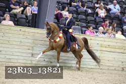 23R13_13821 thumbnail