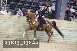 23R13_13822 thumbnail