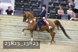 23R13_13823 thumbnail