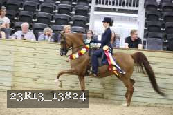 23R13_13824 thumbnail