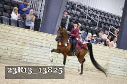 23R13_13825 thumbnail