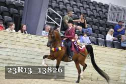 23R13_13826 thumbnail