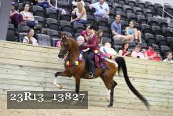 23R13_13827 thumbnail