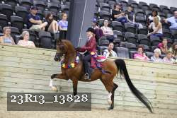 23R13_13828 thumbnail