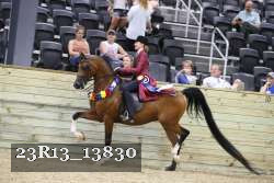 23R13_13830 thumbnail