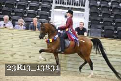 23R13_13831 thumbnail