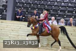 23R13_13832 thumbnail