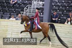 23R13_13833 thumbnail