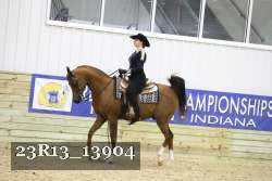 23R13_13904 thumbnail