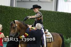 23R13_13908 thumbnail