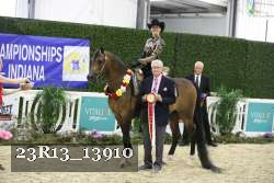 23R13_13910 thumbnail