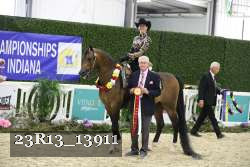 23R13_13911 thumbnail