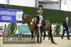 23R13_13912 thumbnail