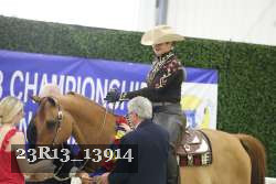 23R13_13914 thumbnail