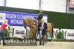 23R13_13916 thumbnail