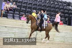 23R13_13918 thumbnail