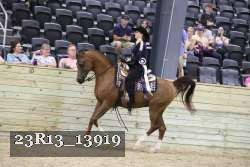 23R13_13919 thumbnail