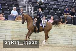 23R13_13920 thumbnail