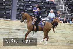 23R13_13921 thumbnail